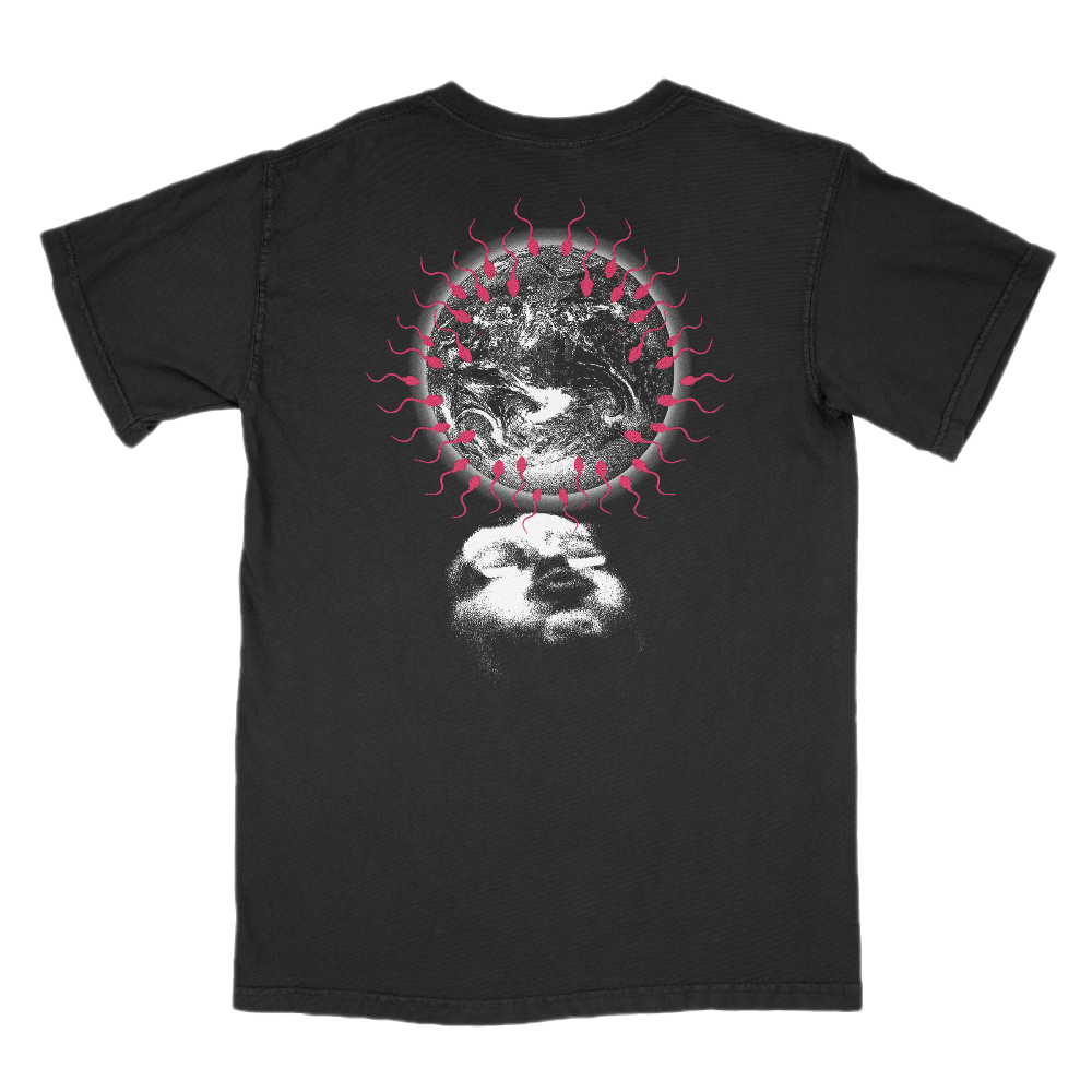 The Money Player Back